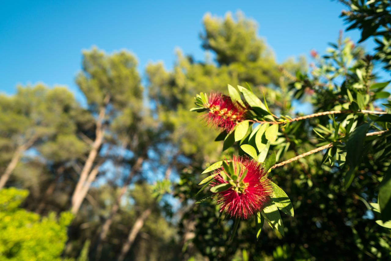 Domaine De Saint Clair Bed & Breakfast Aix-en-Provence Bagian luar foto