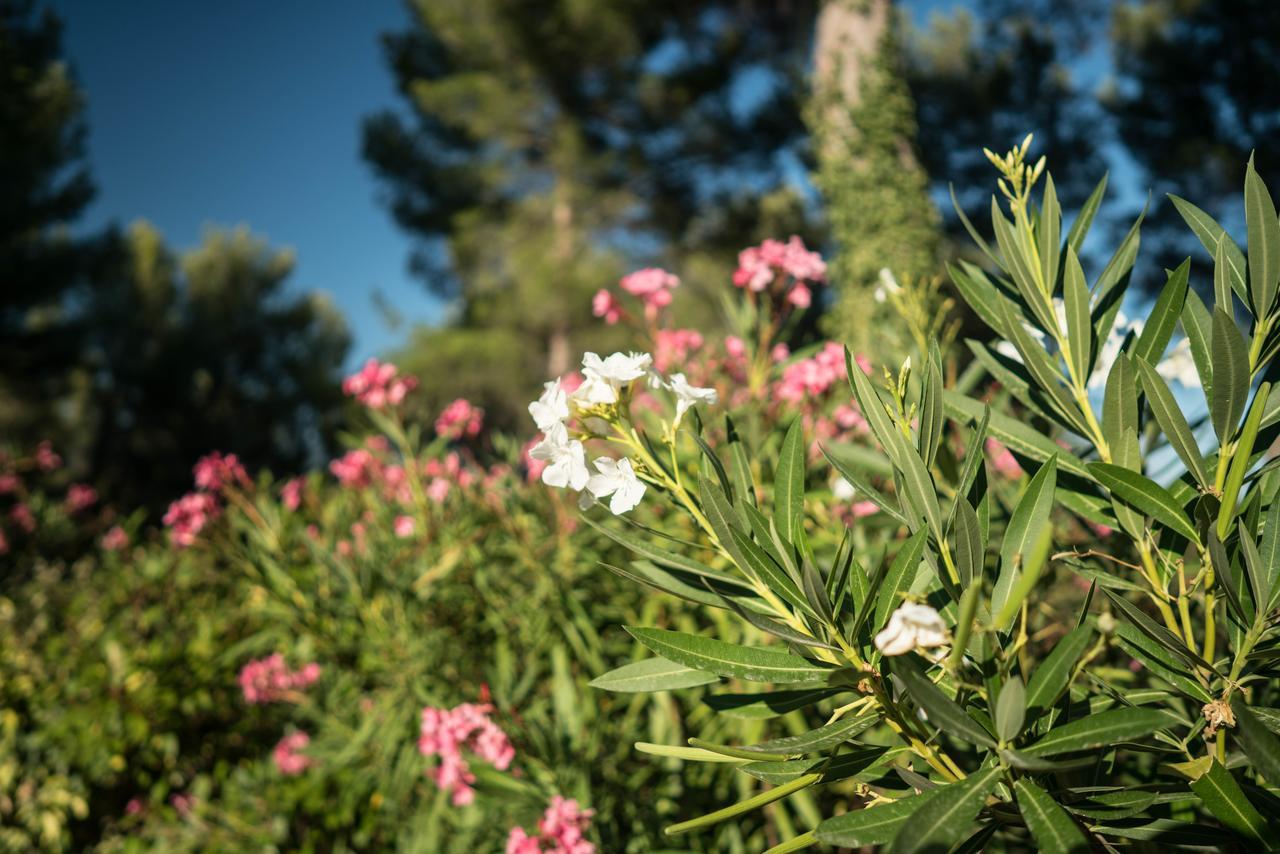 Domaine De Saint Clair Bed & Breakfast Aix-en-Provence Bagian luar foto